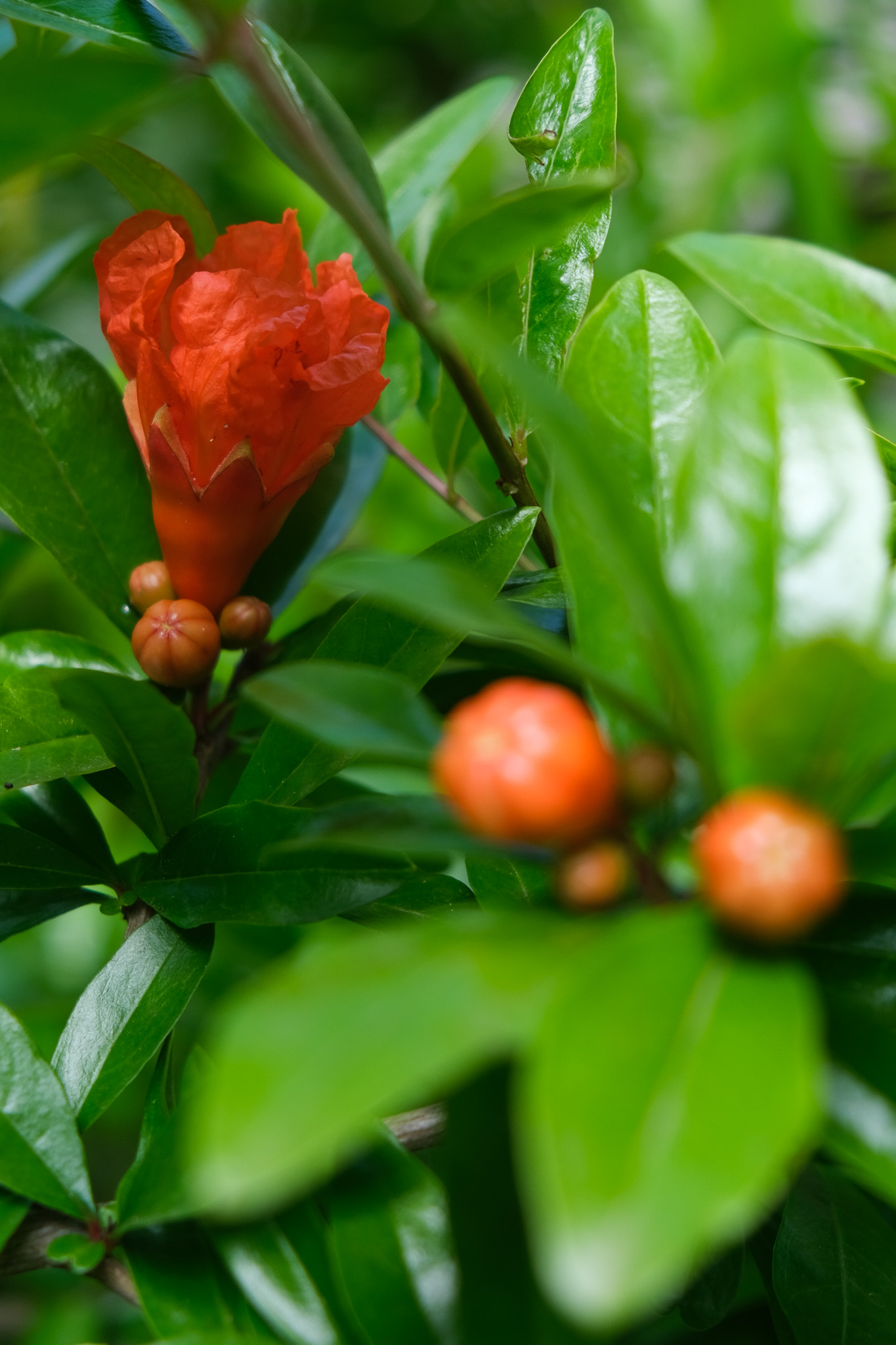 Costa Nera Beach House_sophiejanski 2